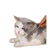 Pente para Higiene de Animais para Remover Pelos Soltos, Pente de Aço de Dentes Finos para Desembaraçar Cães, Pente Especial para Gatos de Pelo Longo, Pente para Higiene de Animais