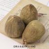 Natural Fruit ACORN canela artesanal em ornamentos decorativos diy flor seca frutas secas retro foto props