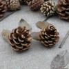 Pinhão natural de Natal 3-18cm decoração de pinhão natural pingente de árvore de Natal fabricantes de acessórios de madeira atacado
