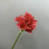 Planta Ornamental Clivia Artificial Tallo Único Clivia Maceta Orquídea Flor Única Estilo Ins