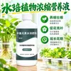 Solución Nutritiva para Plantas Hidropónicas Plantas Verdes de Interior Flores Tipo Universal Árbol del Dinero Potos Bambú de la Suerte Hoja de Tortuga Bambú Solución Enraizante