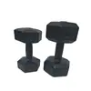 Halteres para Homens, Equipamento de Fitness para Casa, Kettlebells Femininos para Treinamento Muscular dos Braços, um Par de Halteres Hexagonais Revestidos de Borracha Conjunto para Estudantes