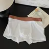 Ropa interior para hombre Ns161 con patrón de gofre de seda helada, sin costuras, secado rápido, cómoda, delicada, fresca, zona de la entrepierna de algodón puro, 10A para hombre