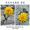 Novo produto transfronteiriço: Fabricante de flores artificiais de PU, dália e peônia de PU de haste única, para decoração de casamento e casa
