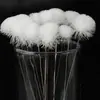 Herramientas para limpiar los oídos: agujas de plata, palillos de plumas de ganso, palillos de plumas de pollo, palillos de plumas de grulla y un juego de varias herramientas de limpieza para la limpieza de oídos. Estos son fabricados y vendidos al por mayor por el fabricante de herramientas para la limpieza de oídos.