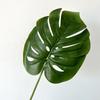 Celebridade da Internet Sala de Estar Doméstica Planta Verde Simulada Fulin Folha Única Dakui Folha de Tartaruga Planta Falsa Decoração Novo Produto Atacado