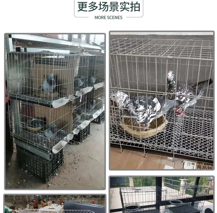 鸽子笼详情页_13
