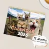 Calendário de Parede Gatos e Amigos 2026 Decoração de Parede