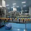 Linha de Produção de Enchimento de Desinfetante 84, Material Resistente à Corrosão, Equipamento de Processamento de Ácido Hipocloroso 1000-5000 Garrafas por Hora