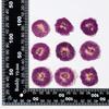 Rosa Rojo Rosa ingenio industria floral detalles sobresalientes hecho a mano diy calcomanía de flor real material especímenes de plantas deshidratadas