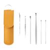 Mola Helicoidal Seis Peças Cuchara de Ouvido Limpador de Ouvido Cuchara de Ouvido Ferramenta para Remover Cera do Ouvido Cuchara de Ouvido Estojo de Couro Conjunto de 6 Peças