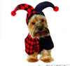 Ropa para Mascotas Hecha a Medida Linda Oso de Peluche Corgi Perros Pequeños Bulldog Francés Primavera y Otoño Gatos Transfronterizo Halloween