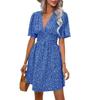 Primavera e Verão 2025 Estação Independente da Amazon Transfronteiriça AliExpress Venda Quente Vestido Estampado Decote V Temperamento Europeu e Americano