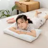 Almohadas Personalizadas del Fabricante, un Par de Almohadas Cervicales que No se Desinflan, Almohadas Bajas, Almohadas Suaves que Ayudan a Dormir, Núcleos de Almohada Lavables para Niños y Bebés