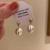 Aretes de mujer más vendidos 2025, nicho de alta gama, temperamento de lujo ligero, aretes de circonita, aretes de aguja de plata 925 al por mayor