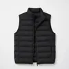 Novo colete quente de lã para mulheres, outono e inverno, forrado com fleece e espessado, adequado para uso interno e externo, top versátil plus size para mulheres