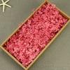 Flor Mágica Flor Eterna AB Anna Hortênsia 100g Aniversário Real Flor Diy Material Flor Seca Decoração Namorada Presente