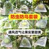 Bolsa de Malla para Árbol Frutal, Ensacado de Uvas para Secado, Transpirable, Anticorrosión, Antimoho, Bolsa de Malla con Cordón, Bolsa Protectora de Frutas, Transpirable y Antimoho