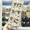 Celebridad de Internet Lindo Gato Kt Puntos Rosas Lazo Perla Mate Cuerda para el Cabello Versátil para Niña