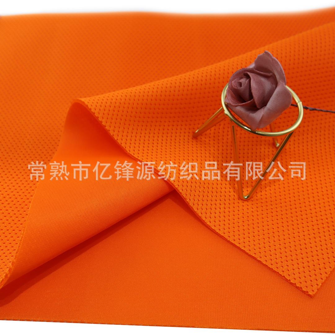 IMG_6519