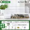 Aquário Transparente de Plástico para Tartarugas, Micro-Paisagem para Mesa de Sala, Eco-Tanque com Rampa de Escalada Integrada e Plantas Verdes