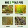 Solución Nutritiva para Plantas Acuáticas Solución Nutritiva Especial Acuario Tanque de Peces Agente Bacterias Nitrificantes Purificación de la Calidad del Agua Solución Nutritiva Promoción del Crecimiento Aumento