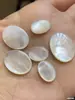 Acessórios de Joalheria Concha Não Porosa Concha Borboleta Borboleta Branca Oval Anel DIY Superfície Anel Profundo Mar Profundo Outras Pérolas