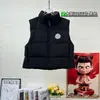 Colete de penugem de ganso transfronteiriço para outono e inverno, com gola alta, comprimento curto, design unissex, modelagem solta, versátil, sem mangas e disponível em várias cores para sobreposição
