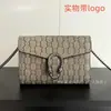 Suministro Transfronterizo Nuevo Clásico Bolso de Cadena Doble Gwoc Presbiópico Dionysus de un Solo Hombro Diagonal para Mujer con Logo