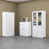 Archivero de oficina de acero plegable, gabinete integrado de almacenamiento de documentos metálico, instalación rápida, hecho a medida desde la fuente