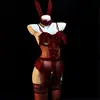 Man Yu Atractivo Conjunto de Uniforme de Chica Conejita Lindo y Juguetón con Ribete de Encaje Lencería Seductiva Transparente 9751