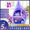 [Frete] Detergente Líquido Atacado Fábrica Direta Fragrância de Lavanda Detergente Líquido Fragrância Presente E-commerce Produtos Químicos de Uso Diário