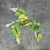 Película 3D Simulada Lluvia de Primavera Hojas Boda Decoración del Hogar Arreglo Plantas Verdes Hojas de Cala Adornos de Flores Artificiales Transfronterizos Venta al por Mayor