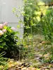 Juxuan Reja de Hierro Forjado Rosa Flor Mensual Estante para Trepadora Clematis Estante para Plantas Trepadoras Poste de Soporte para Maceta Jaula para Pájaros