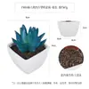 Más de 100 Tipos de Combinaciones de Plantas Suculentas Artificiales en Maceta Mini, Ventas Transfronterizas Populares, Estilo Sencillo Decoración del Hogar Flores Artificiales y Plantas Verdes, Directo de la Fábrica Fuente