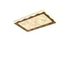 Luz de Techo con Control de Voz Simple para Dormitorio Sala de Estar Protección Ocular Lámpara para Estudio Iluminación del Hogar Lujo Redondo Luminaria para Habitación Hierro