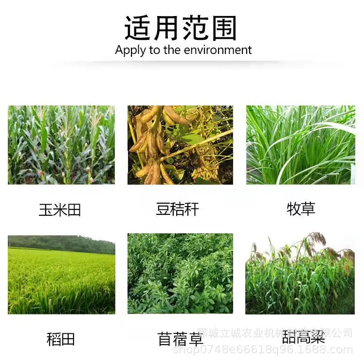 微信图片_20250319203557