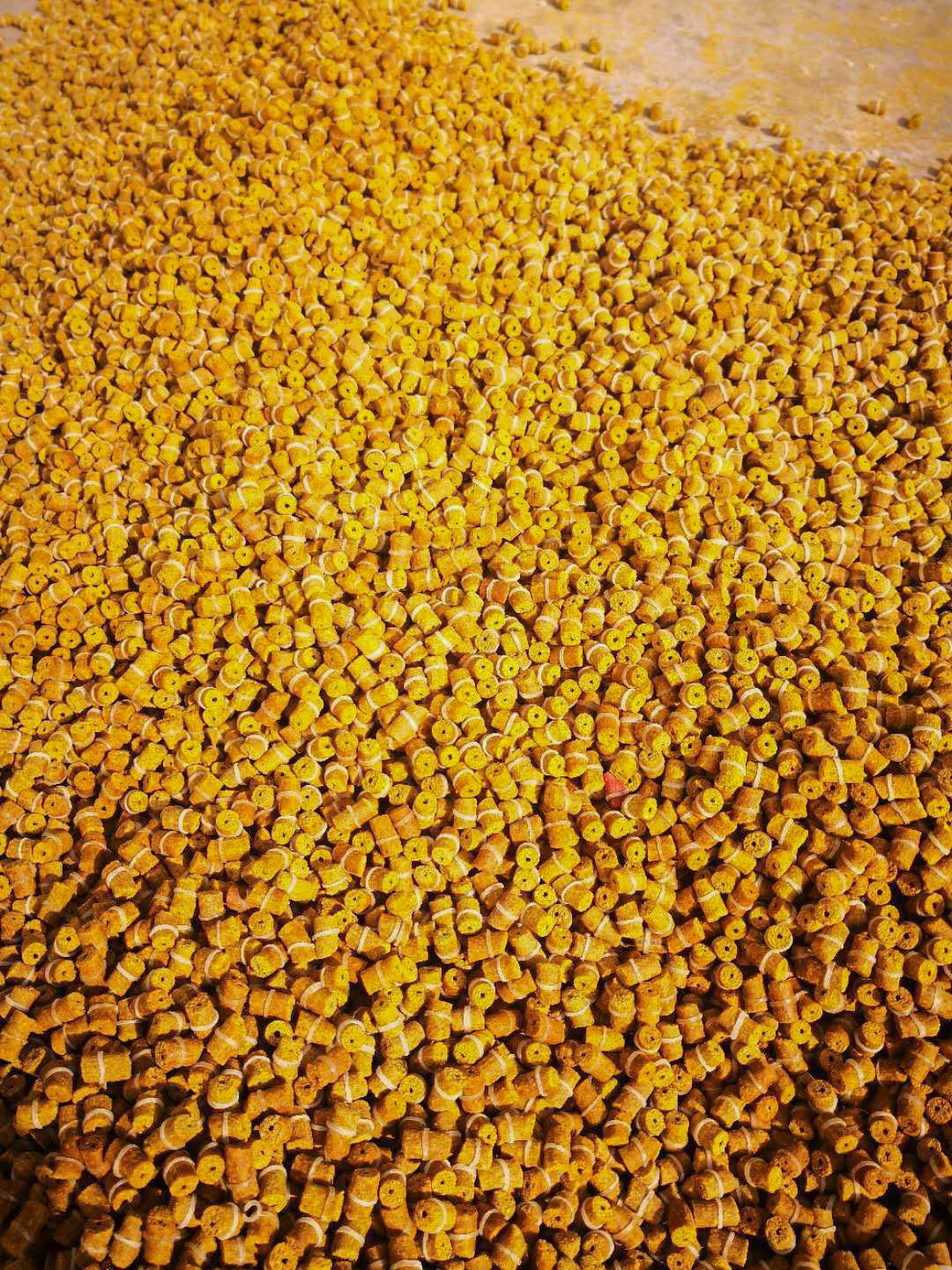 8574304267_1475966807