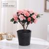Planta de Azalea en Maceta con Capullos de Flor, Planta Grande Madura, Florece Todo el Año, Adecuada para Balcón y Visualización en Interiores, Planta Perenne Verde