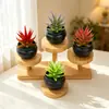 Simulación Nórdica Simple Creativa Mini Suculenta Planta en Maceta Pequeña Adornos Decoraciones para Escritorio de Hogar Oficina