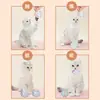 Juguete para gatos, bola arrugable de colores, resistente a los arañazos para gatitos y gatos, palo teaser para gatos, dispositivo de autoentretenimiento y alivio del aburrimiento para mascotas