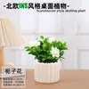 Las plantas en maceta son fáciles de cuidar en las salas de estar interiores.; plantas verdes hidropónicas, bonsáis creativos, plantas de la suerte, plantas pequeñas en maceta y árboles de la fortuna son todas excelentes opciones