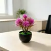 Simulação Ornamento Bonsai Plástico Mini Flores Artificiais Pequenas Plantas em Vasos Flores de Simulação Mesa de Café Mesa de Escritório Decoração de Mesa Pequeno Fresco