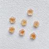 Nuevo Arte de Uñas Luminoso de Flores Secas Adornos de Camelia Diamante de Resina DIY Decoración de Uñas Venta al por Mayor