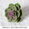 Uau Bonsai de Suculenta Artificial Personalizado Plantio Flocagem Acessórios de Suculenta Falsa Artificial Plantas Verdes DIY Decoração de Casa