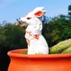 Figuras de Zorro al por Mayor, Zorros de Nueve Colas de Pelo Largo, Accesorios Decorativos para Suculentas, Macetas de Cactus Impermeables y Resistentes al Sol para Paisajismo de Jardín