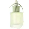 Em Estoque Frasco conta-gotas de Vidro Fosco para Óleo Essencial 30ml Frasco de Vidro com Ombro Plano Frasco para Líquido Essência Produto para Cuidados com a Pele