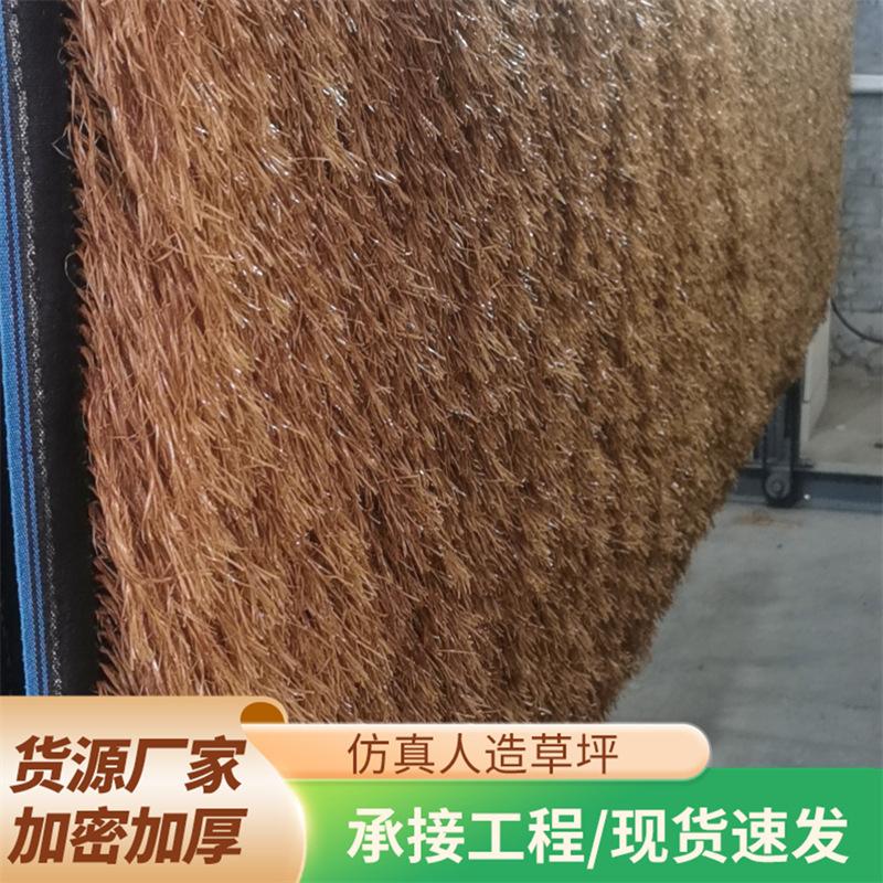 b1c31a26-a643-484b-91e5-1aaafb