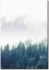 Pintura moderna paisagem montanha neblina floresta pássaro arte pôster pintura em tela decoração de escritório estudo sala de estar pintura decorativa núcleo