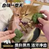 Juguete para Gatos Hueso de Pescado con Hierba Gatera, Palo para Masticar, Forma Realista de Pez, Duradero y Resistente a Mordeduras, Entretenimiento Propio, Alivio del Aburrimiento, Palo para Estimular Gatos